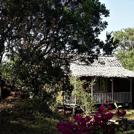 Jambo Mara Safari Lodge Ololaimutiek エクステリア 写真