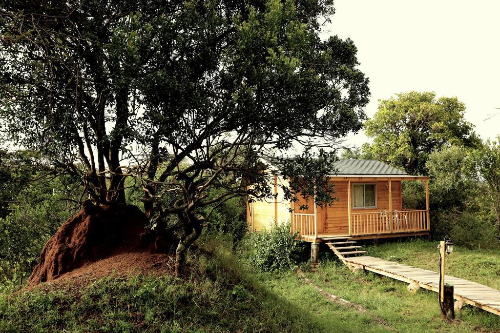 Jambo Mara Safari Lodge Ololaimutiek 部屋 写真