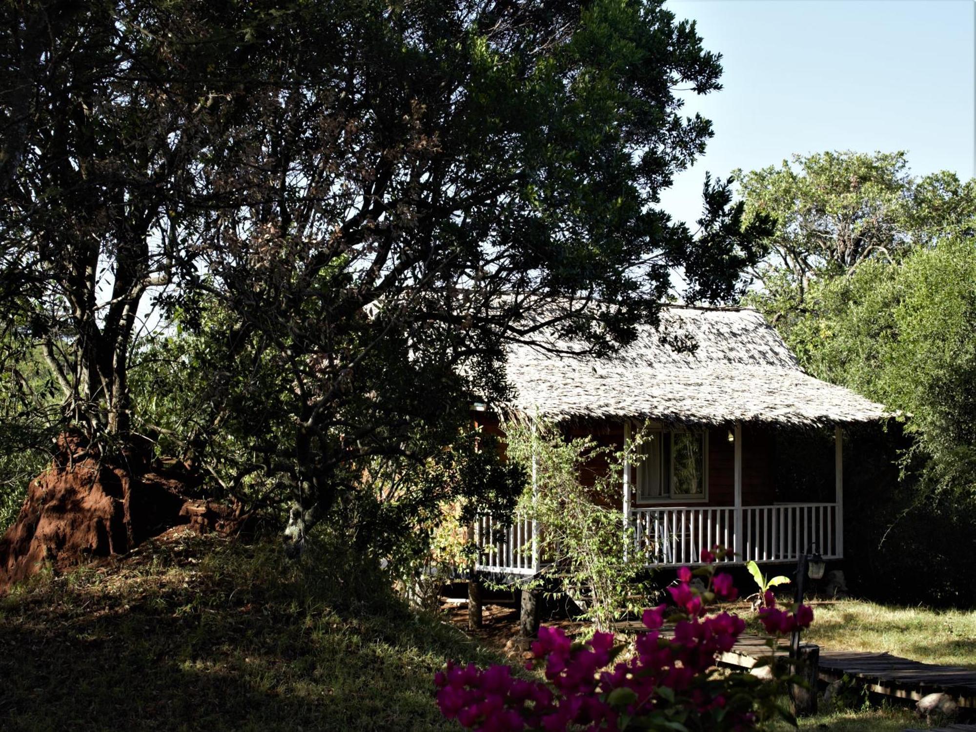 Jambo Mara Safari Lodge Ololaimutiek エクステリア 写真