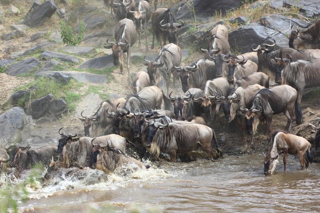 Jambo Mara Safari Lodge Ololaimutiek エクステリア 写真