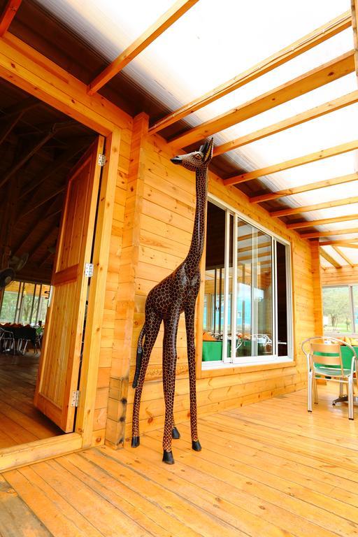 Jambo Mara Safari Lodge Ololaimutiek 部屋 写真