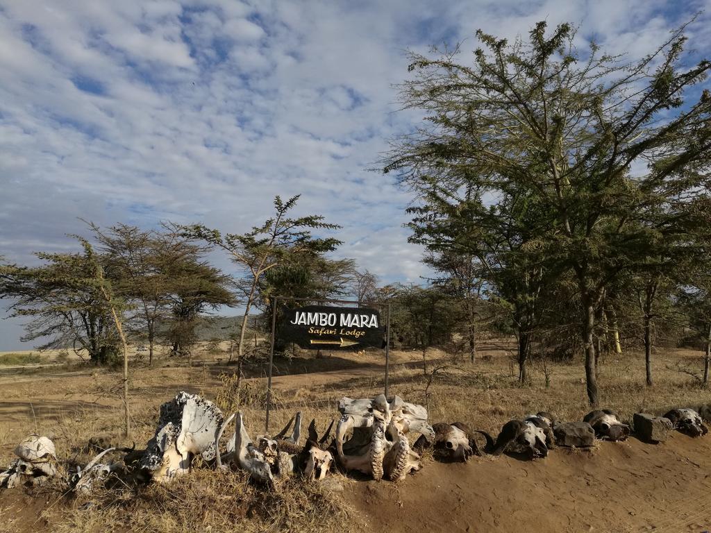Jambo Mara Safari Lodge Ololaimutiek エクステリア 写真