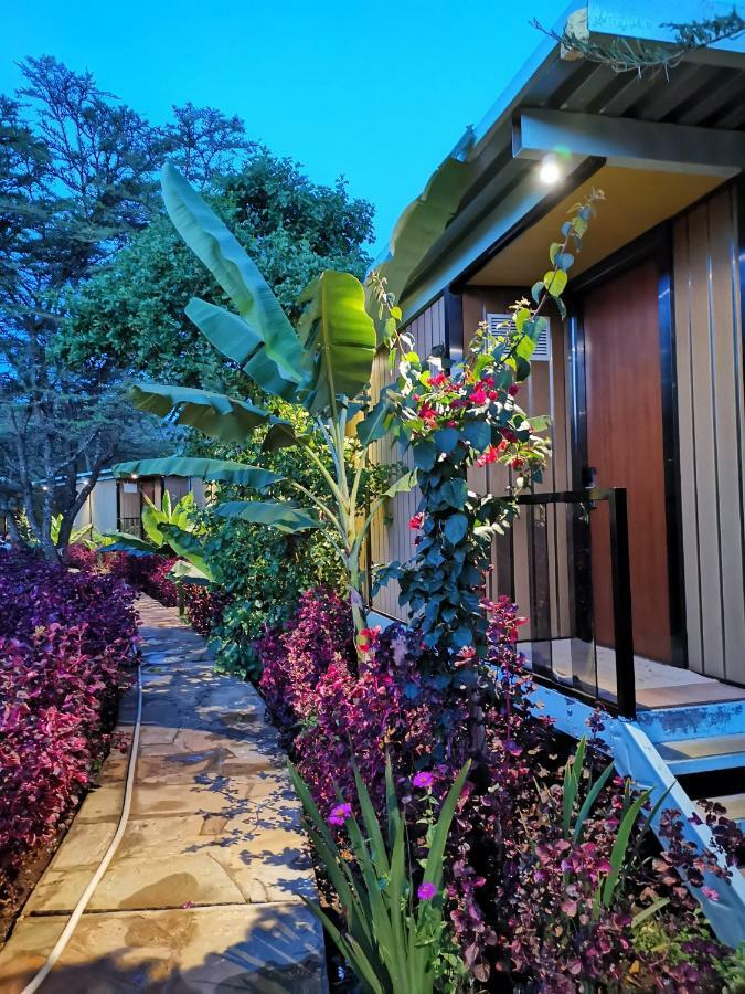 Jambo Mara Safari Lodge Ololaimutiek エクステリア 写真