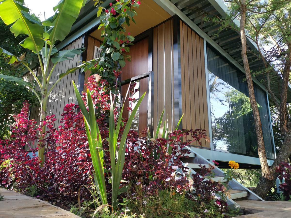 Jambo Mara Safari Lodge Ololaimutiek エクステリア 写真