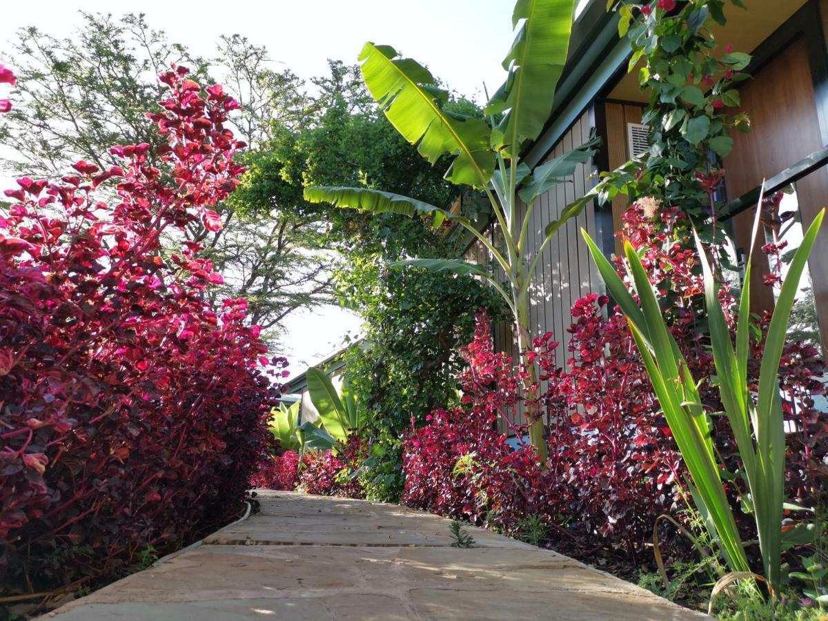 Jambo Mara Safari Lodge Ololaimutiek エクステリア 写真
