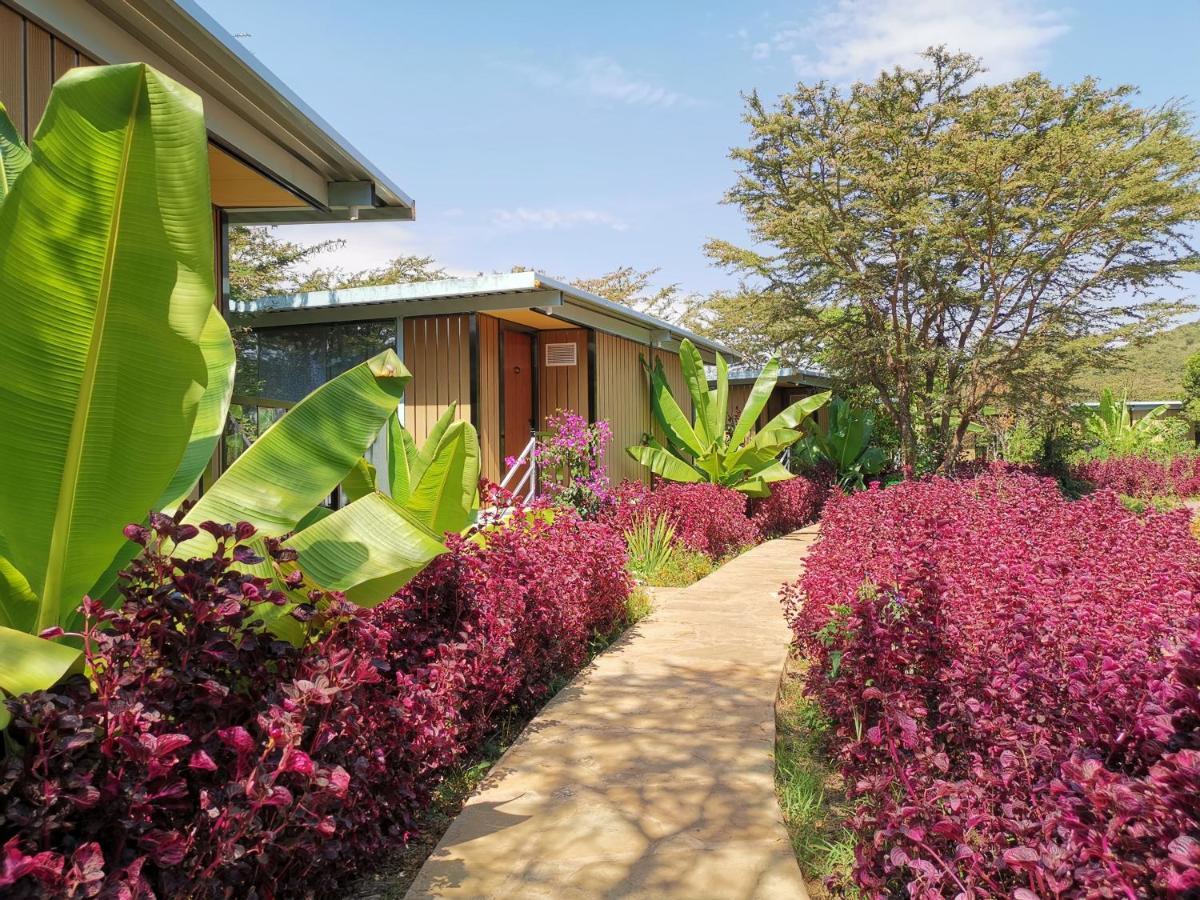 Jambo Mara Safari Lodge Ololaimutiek エクステリア 写真